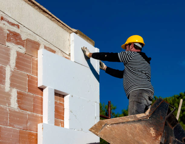 Best Insulation Maintenance and Repair in Lena, IL