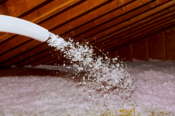 Best Insulation Maintenance and Repair in Lena, IL