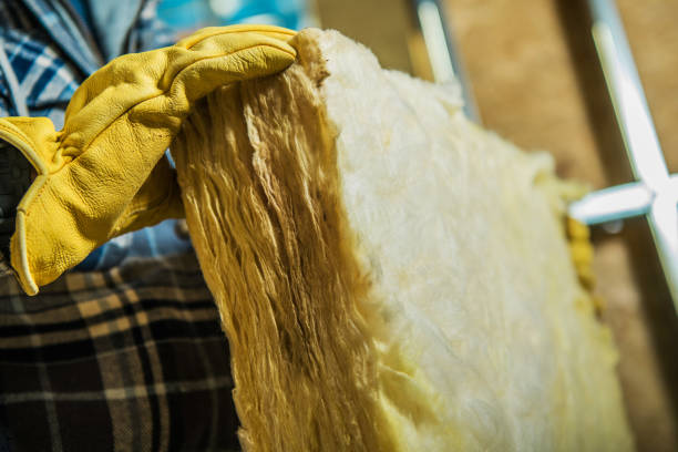 Best Commercial Insulation in Lena, IL